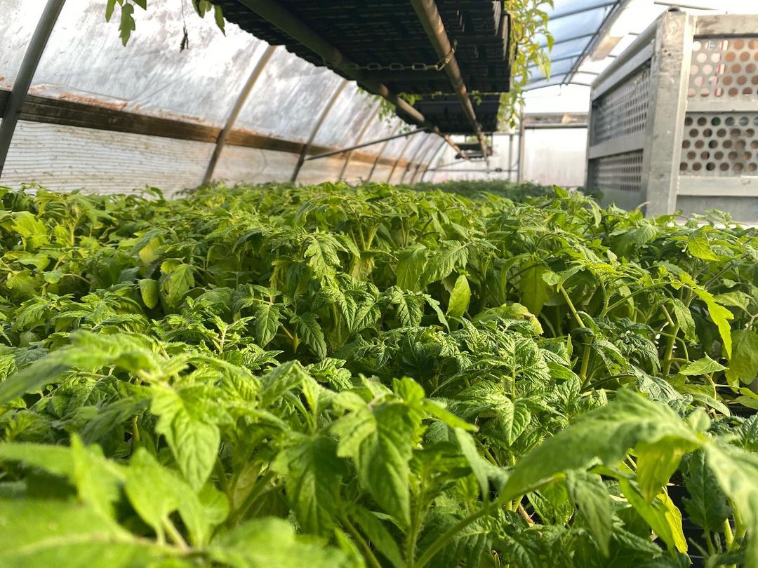 Hirt’s Gardens Takes On The Sphere with ShipWorks ShipWorks